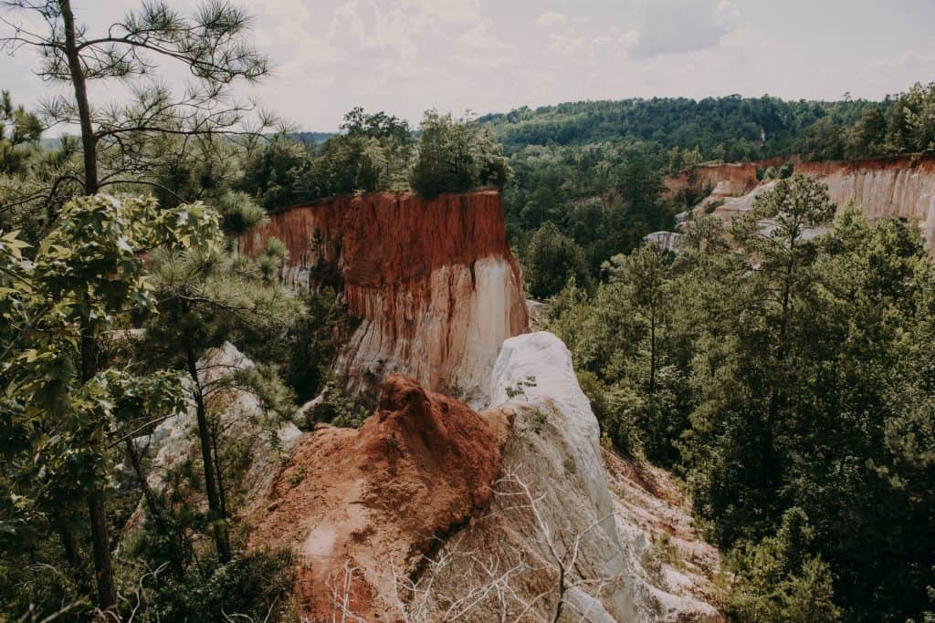 looking down into the canyon at providence canyon in Georgia