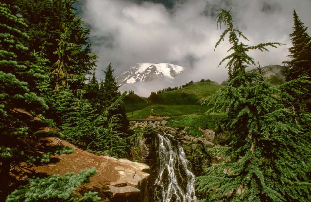 Dramatic clouds, pine trees and a waterfall in Mt. Rainier National Park